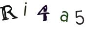 Image CAPTCHA