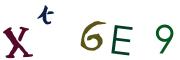 Image CAPTCHA