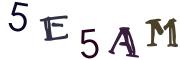 Image CAPTCHA
