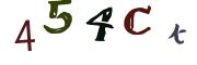Image CAPTCHA