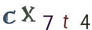 Image CAPTCHA