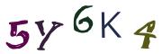 Image CAPTCHA