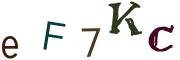 Image CAPTCHA