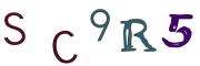 Image CAPTCHA