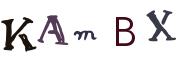 Image CAPTCHA