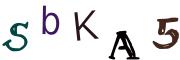 Image CAPTCHA