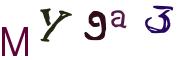 Image CAPTCHA
