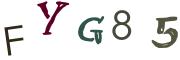 Image CAPTCHA