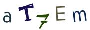 Image CAPTCHA
