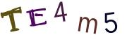 Image CAPTCHA
