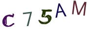 Image CAPTCHA