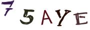 Image CAPTCHA