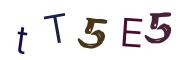 Image CAPTCHA