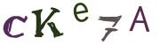 Image CAPTCHA