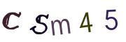 Image CAPTCHA