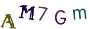 Image CAPTCHA