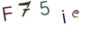 Image CAPTCHA