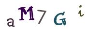 Image CAPTCHA
