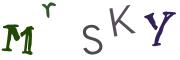 Image CAPTCHA