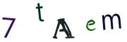 Image CAPTCHA