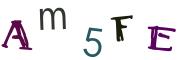 Image CAPTCHA