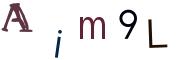 Image CAPTCHA