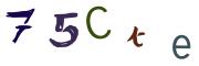 Image CAPTCHA