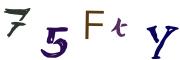 Image CAPTCHA