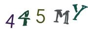 Image CAPTCHA