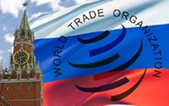 Вступление России в ВТО Вступление России в ВТО