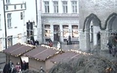 На Ратушной площади в Таллине переломилась новогодняя елка На Ратушной площади в Таллине переломилась новогодняя елка