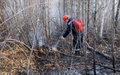 Братск тушат всей страной Братск тушат всей страной