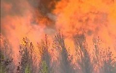 Пожары в Иркутской области Пожары в Иркутской области