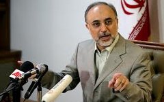 Глава МИД Ирана Али Акбар Салехи. Фото www.islamnews.ru