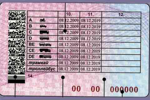 Новые водительские права. Оборотная сторона.