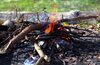 Россиянам напомнили о штрафах за сжигание листвы и мусора на даче