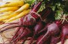 Морковь и свёкла подорожали в России более чем на  60%