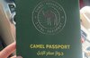 В Саудовской Аравии ввели паспорта для верблюдов