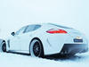 Porsche Panamera Moby Dick by Edo Competition. Зад-бок