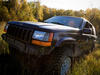 Jeep на опушке
