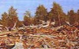 Вырубка леса (Dendrology.ru: Лесная библиотека)