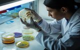 Ученые из УрФУ создали новый антибиотик против супербактерий