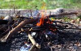 Россиянам напомнили о штрафах за сжигание листвы и мусора на даче
