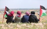 Израиль и ХАМАС согласовали первую фазу мирного плана США