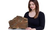 Редчайший марсианский метеорит весом 25 кг выставлен на торги в Нью-Йорке