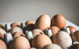 Минсельхоз предложил закрепить цену на   яйца