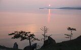 Правительство одобрило проект закона о рубках на Байкале