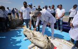 В Египте подняли со дна три древние    статуи