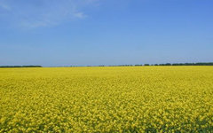 Украина