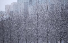 Москва начала готовиться к обильному снегопаду, фото KM.RU